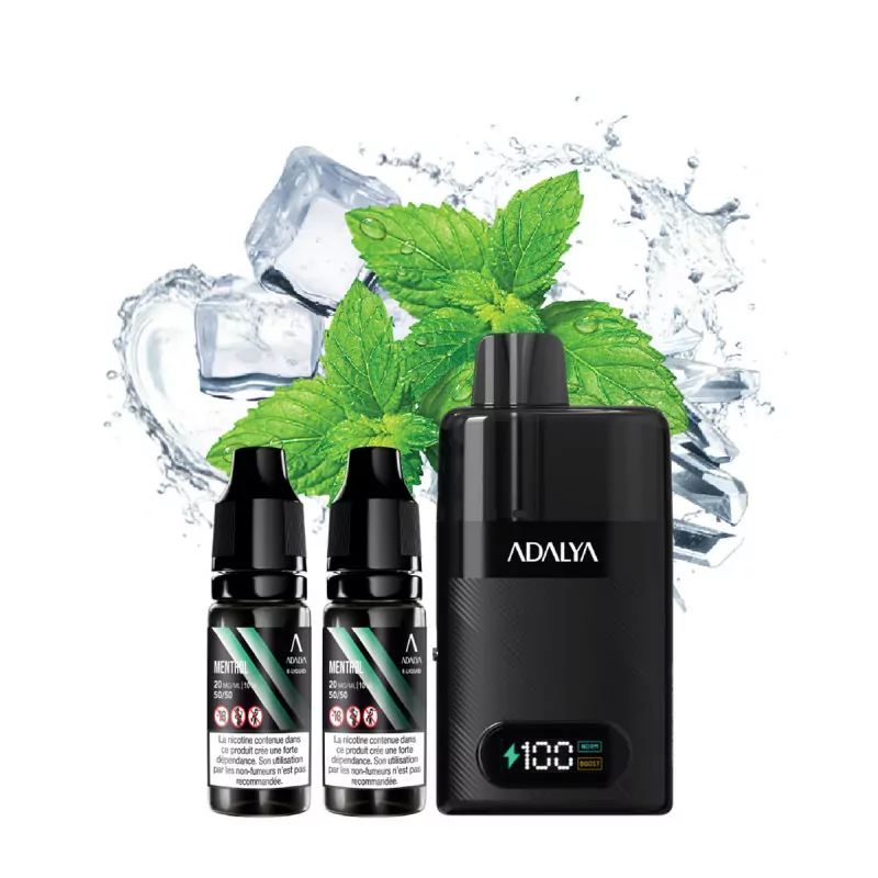 Menthol 30000 Puffs - LEVO ADALYA