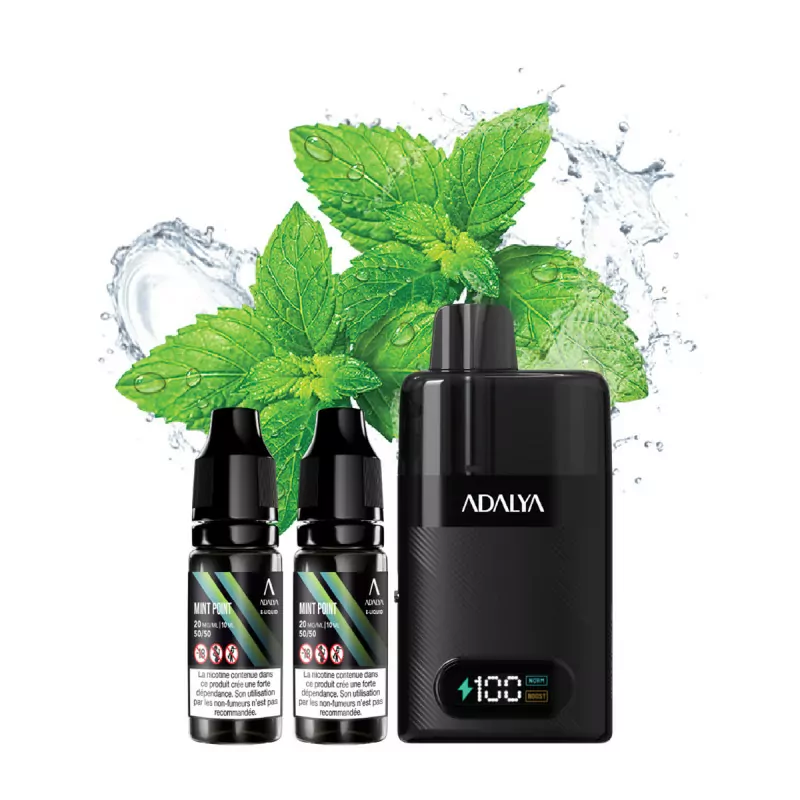 Mint Point 30000 puffs - LEVO ADALYA
