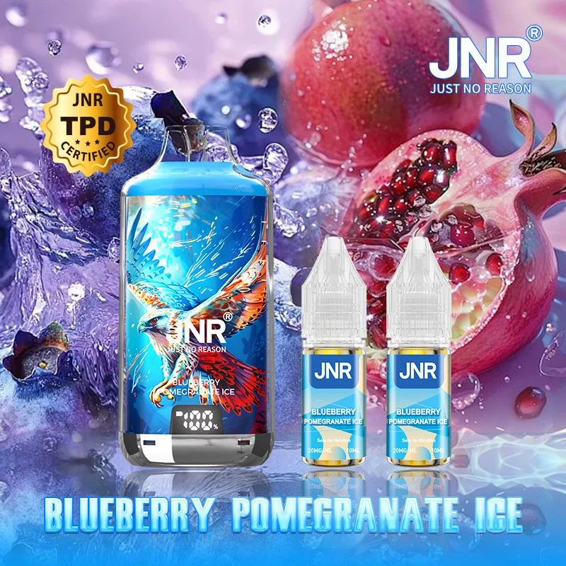 Blueberry Pomegranate Ice 28000 puffs - JNR Falcon X