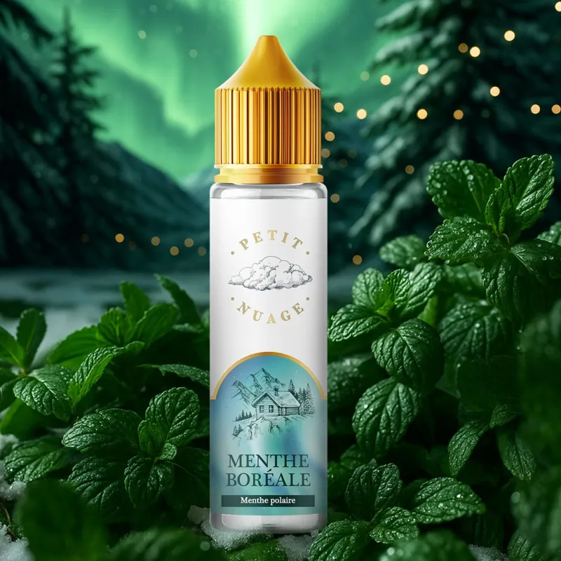 E-liquide Menthe Boreale 50ml - Petit Nuage
