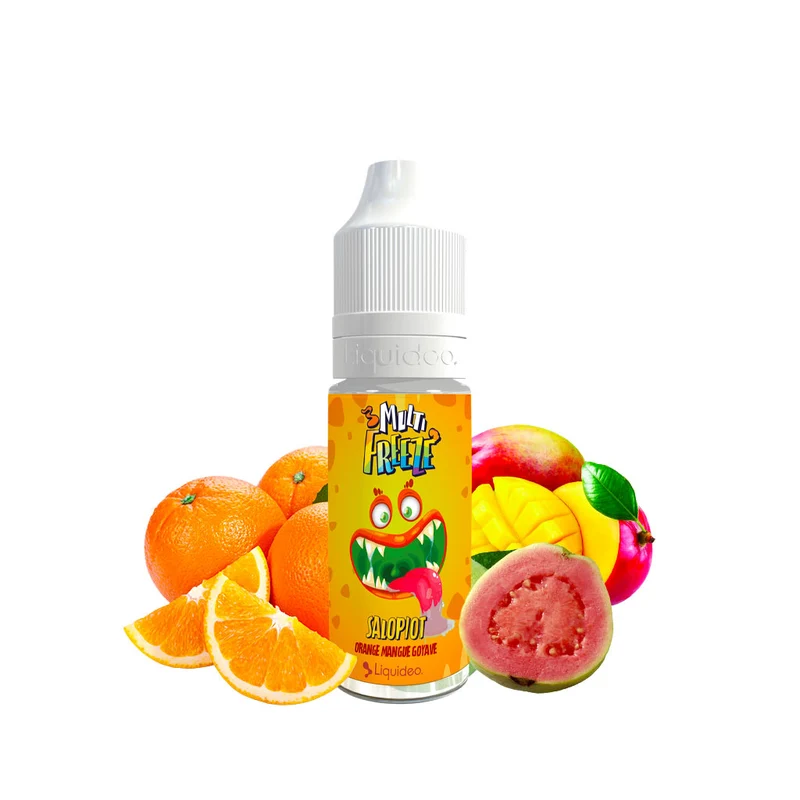 E-liquide Salopiot 10ml Multi Freeze - Liquideo