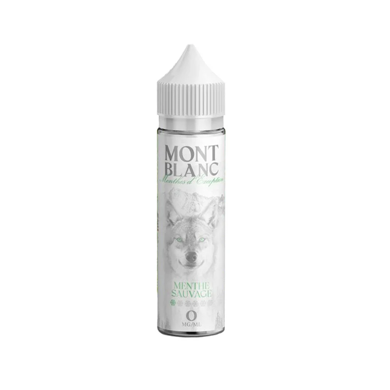 E-liquide Menthe Sauvage 50ml - Mont Blanc