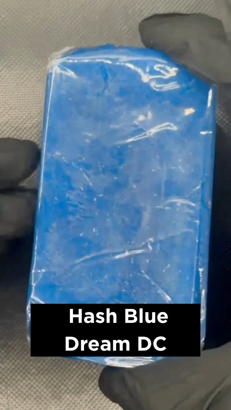 Hash Blue Dream DC - Misterflower