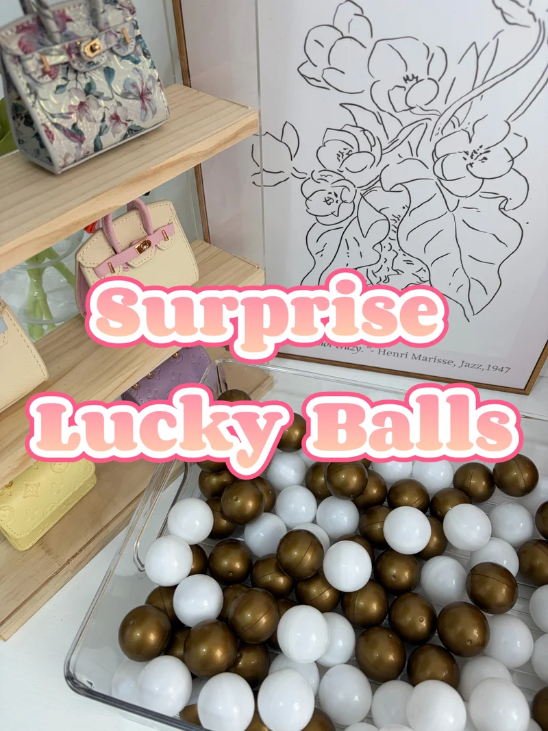 [Lucky Ball] Surprise designer bags and minis